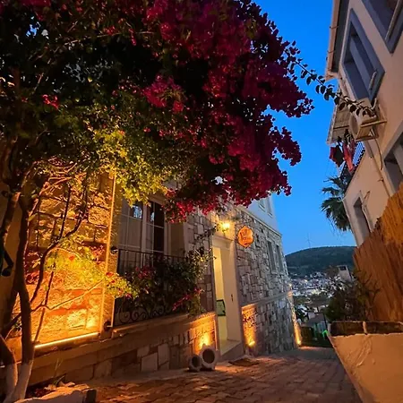 Veria 2* Cesme
